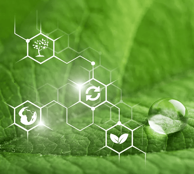 Soins apaisants anti-rougeurs : quels actifs sont réellement efficaces pour calmer la peau ?