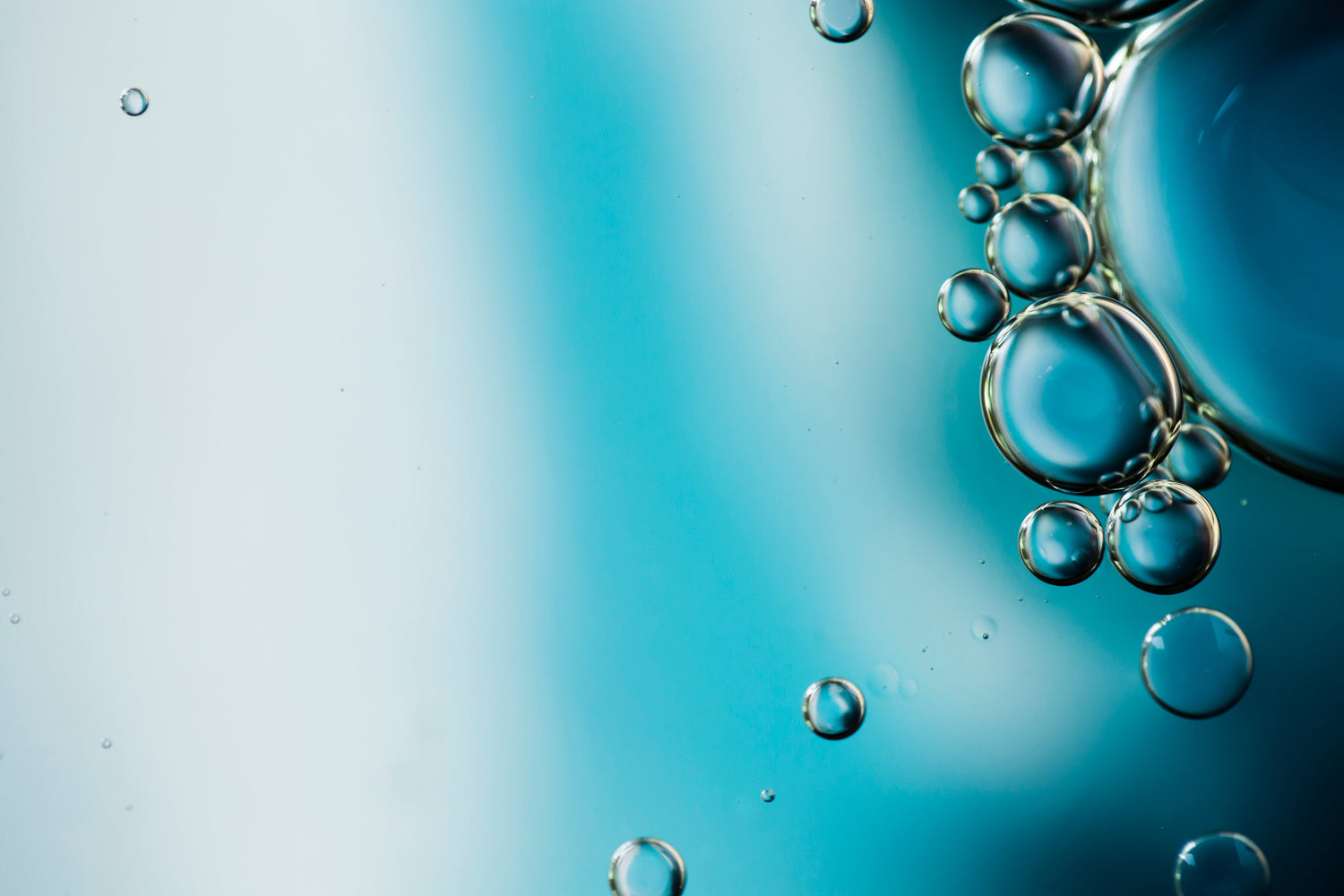Acide Phyto-Hyaluronique pour l'hydratation de la peau